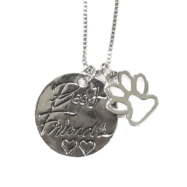 croci-love-collier-chien-c-ur-acier-best-friend image 1