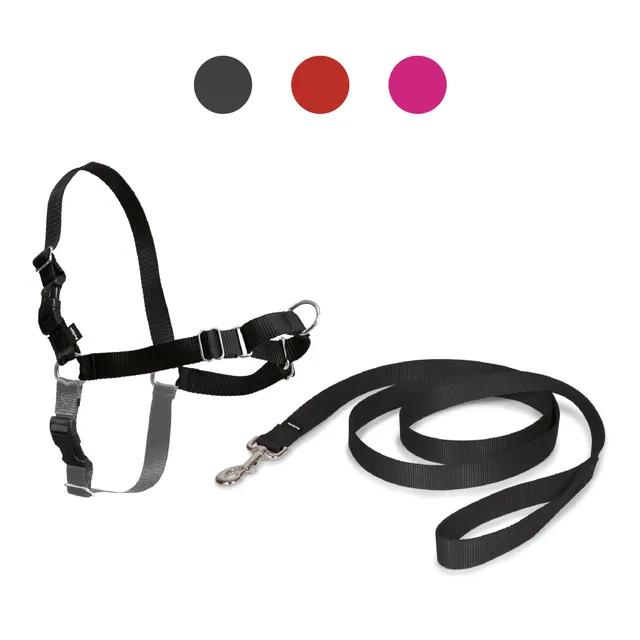 croci-easy-walk-harnais-chien-nylon-anti-traction-noir-m image 1