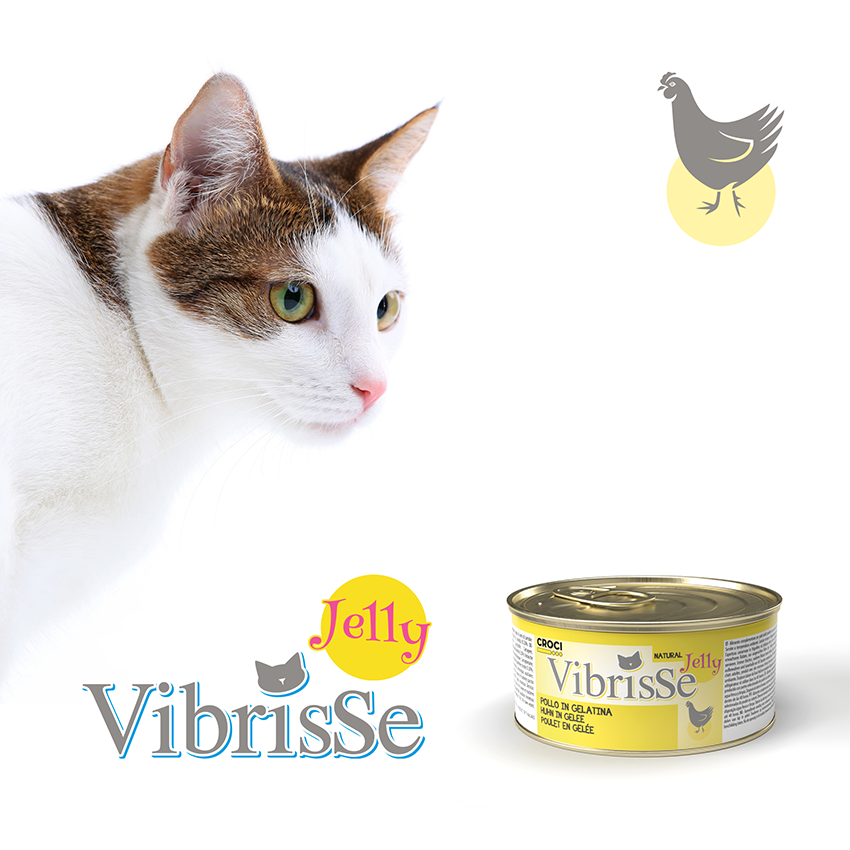 croci-vibrisse-jelly-p-t-e-chat-gel-e-thon-70-g image 8