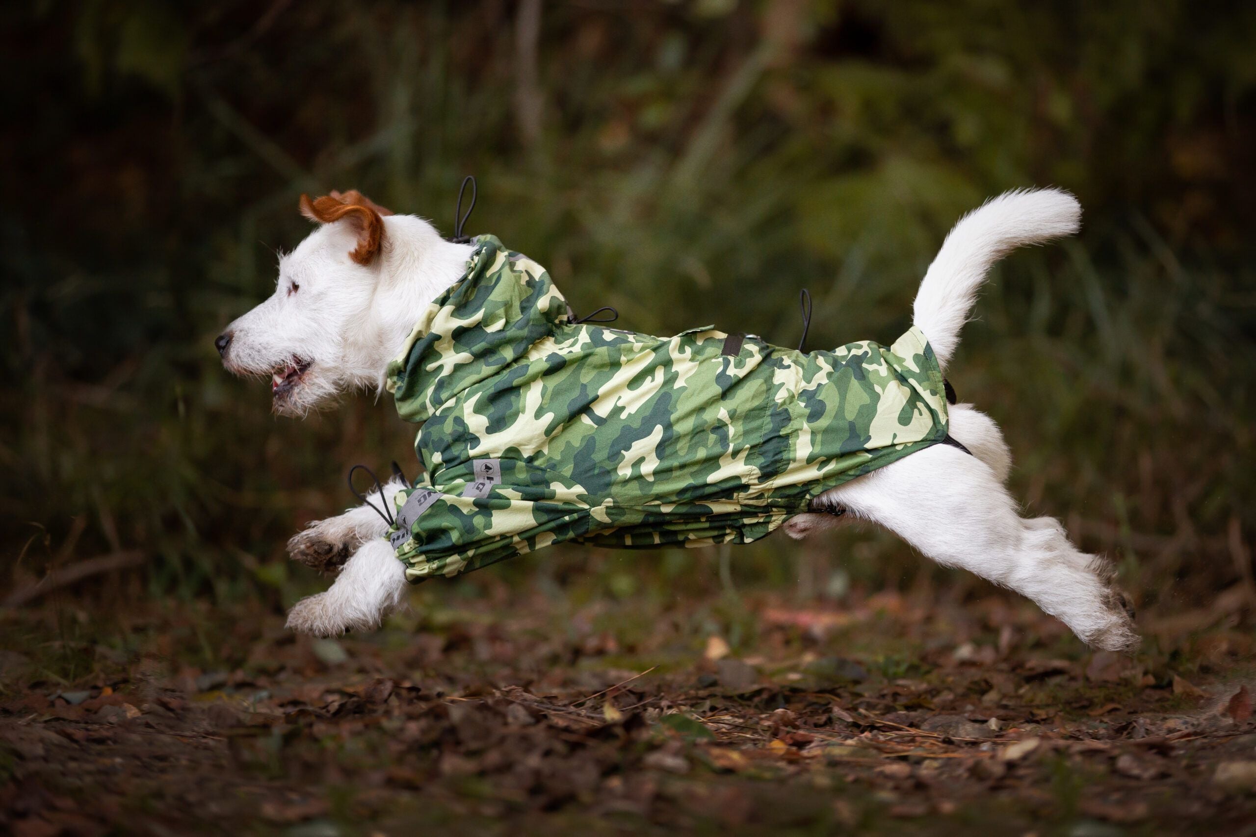 croci-hiking-go-imperm-able-chien-harlequin-40-cm image 4
