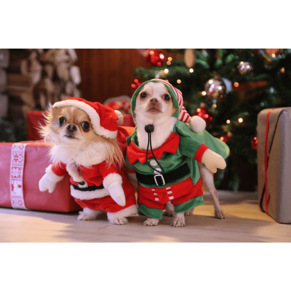 croci-xmas-elf-d-guisement-chien-chat-elfe-30-cm image 2