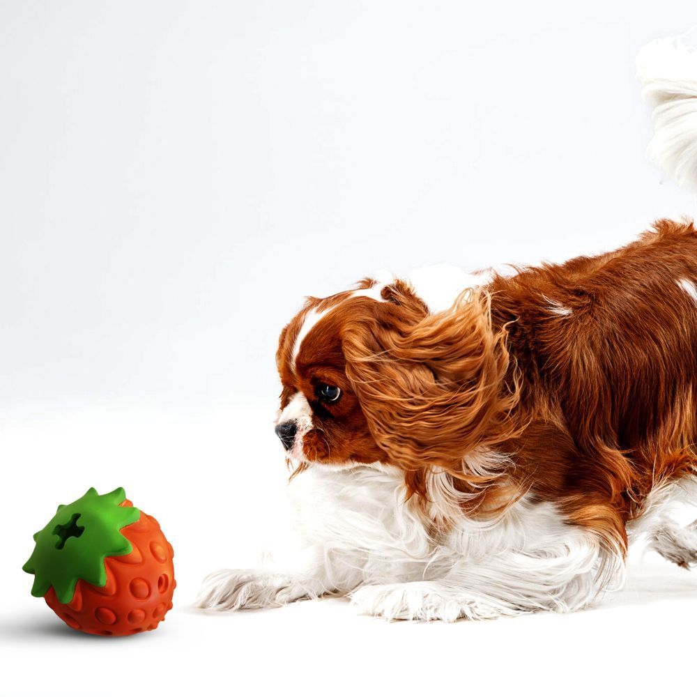 croci-panton-fraise-jouet-chien-caoutchouc-naturel image 2