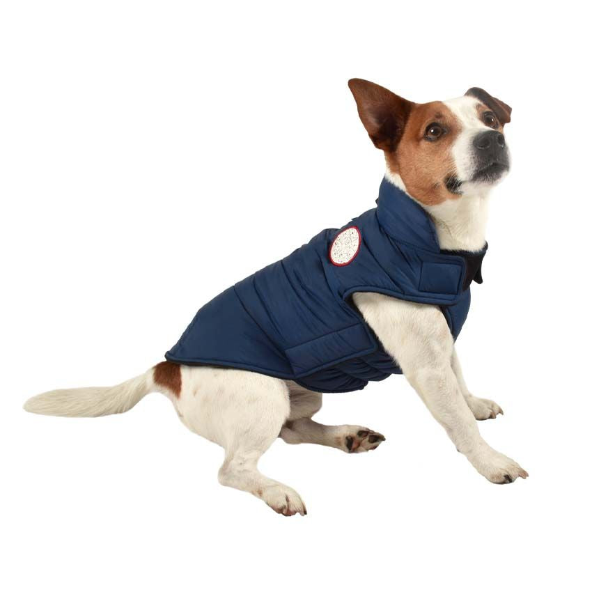 croci-bobby-manteau-chien-imperm-able-bleu-40-cm-chaud image 4