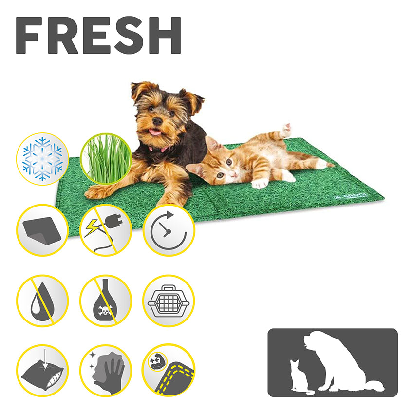 croci-fresh-tapis-rafra-chissant-chien-herbe-65x50-cm image 8