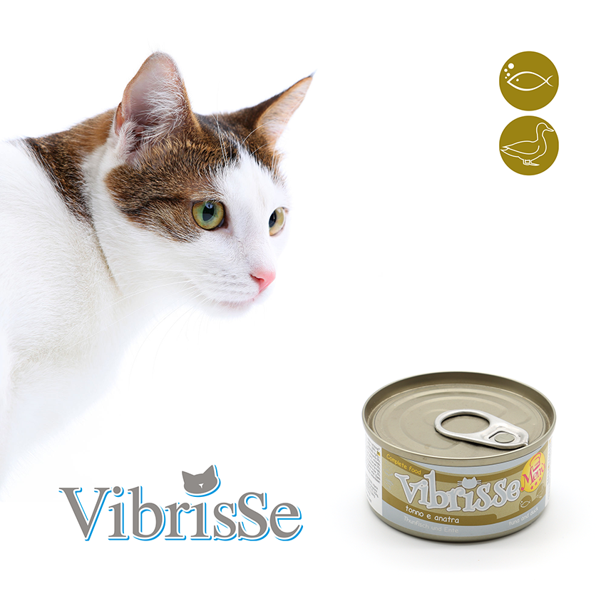 croci-vibrisse-menu-p-t-e-chat-poulet-goji-70g image 5
