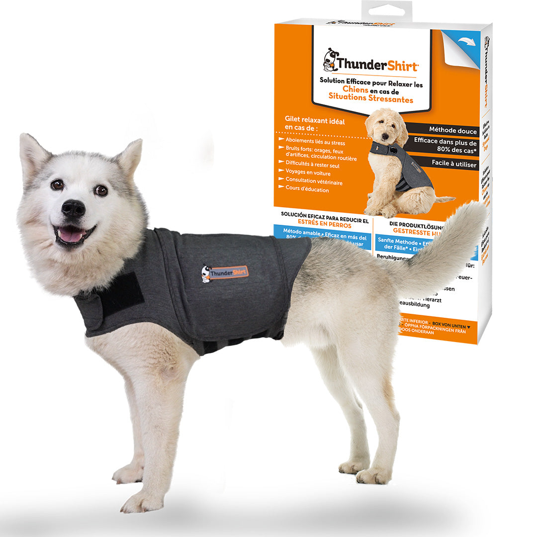 adaptil-thundershirt-gilet-relaxant-chien-taille-m image 3