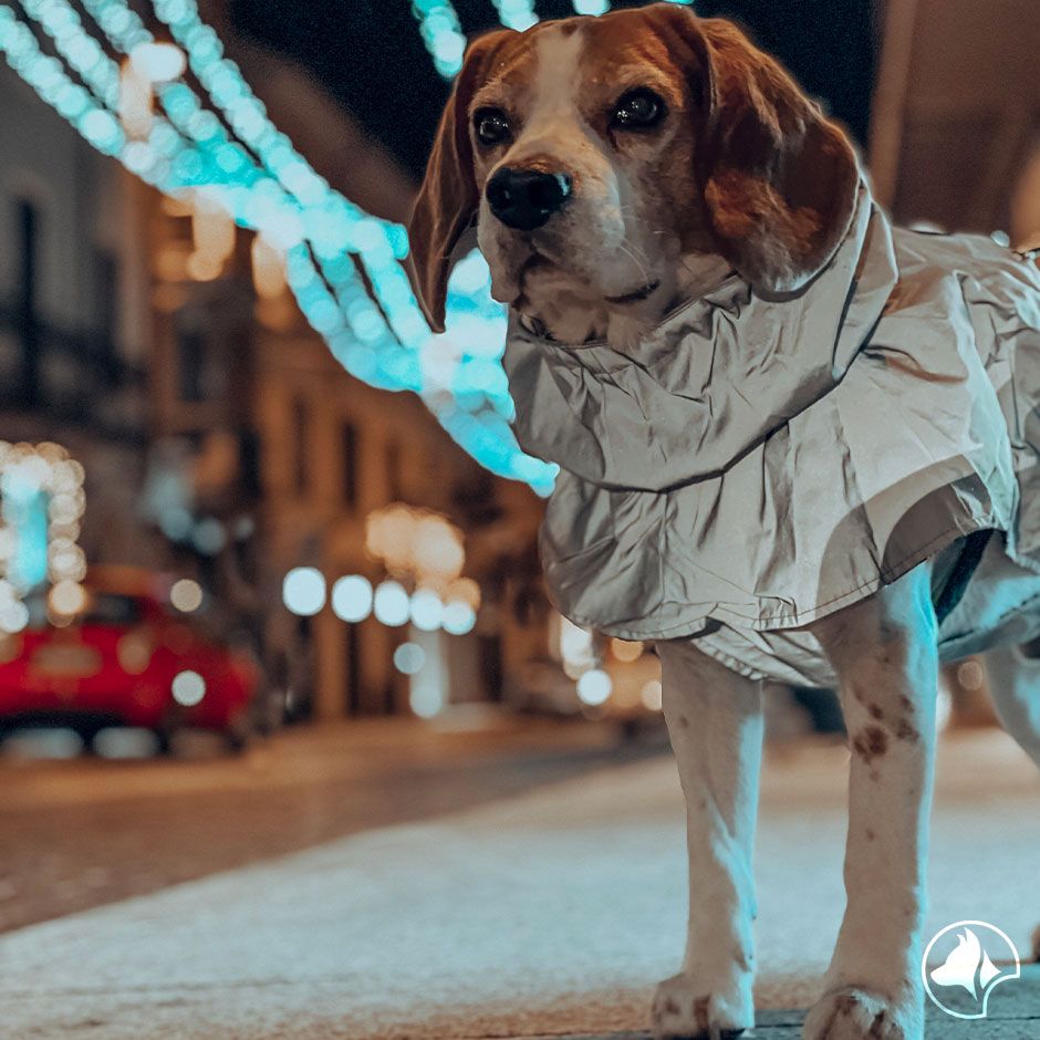 croci-hiking-high-visibility-manteau-chien-r-fl-chissant image 8