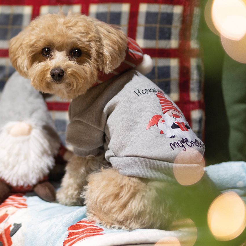 croci-xmas-gnomies-sweat-chien-no-l-gnome-35-cm image 2