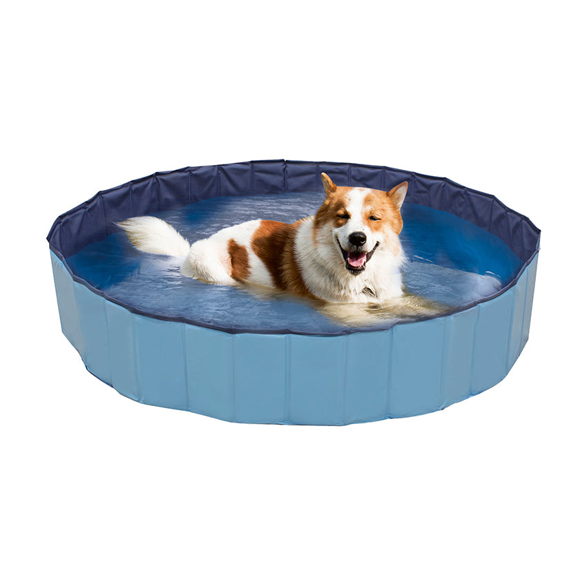 croci-explorer-piscine-chien-120x30-cm-bleue-rigide image 1