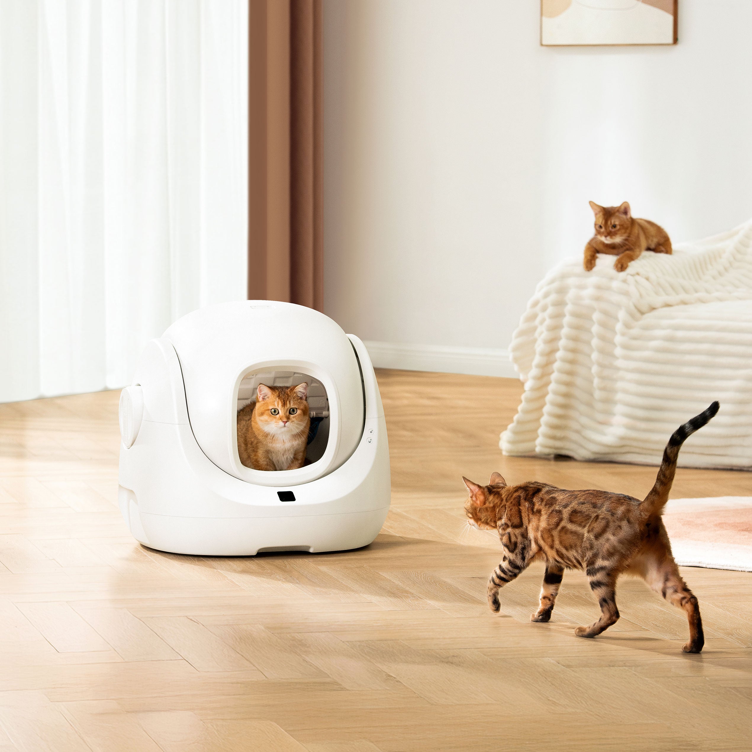 catlink-self-cleaning-liti-re-chat-scooper-se-double-set image 2