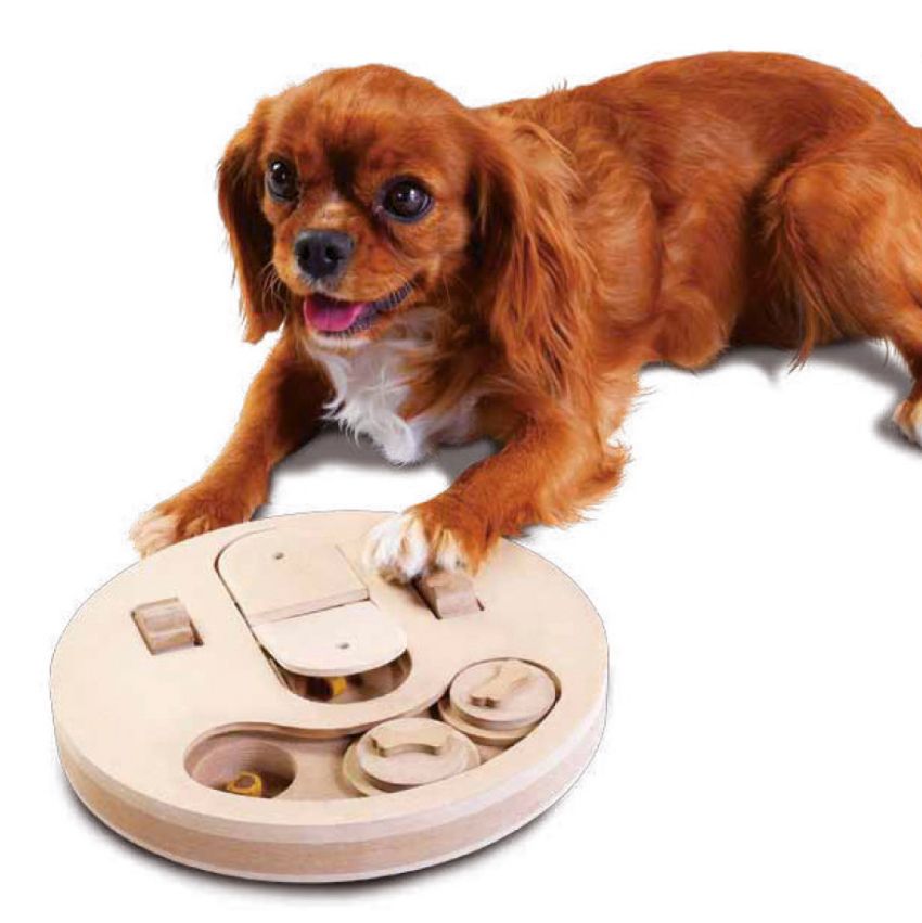 croci-smart-toy-flip-jouet-chien-intelligent-puzzle-friandises image 2
