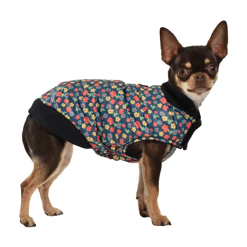 croci-bobby-floralie-manteau-chien-imperm-able-30-cm-doublure-polaire image 2