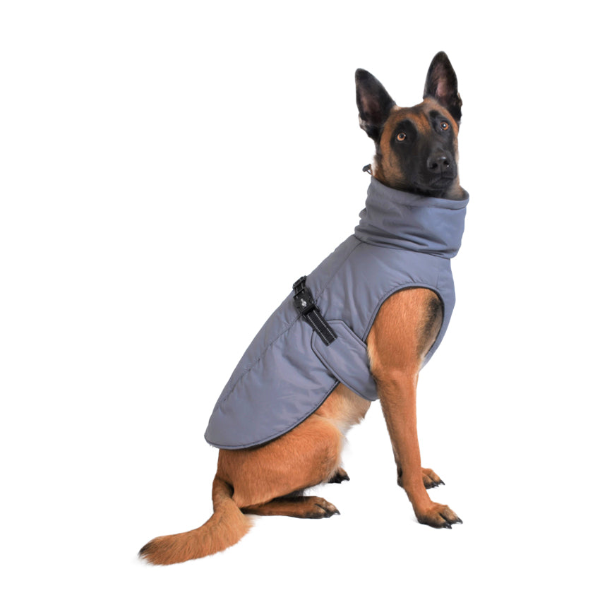 croci-bobby-urban-veste-chien-hiver-52-cm image 2