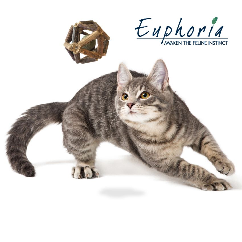 croci-euphoria-balle-jouet-chat-herbe-chat-exercice image 5