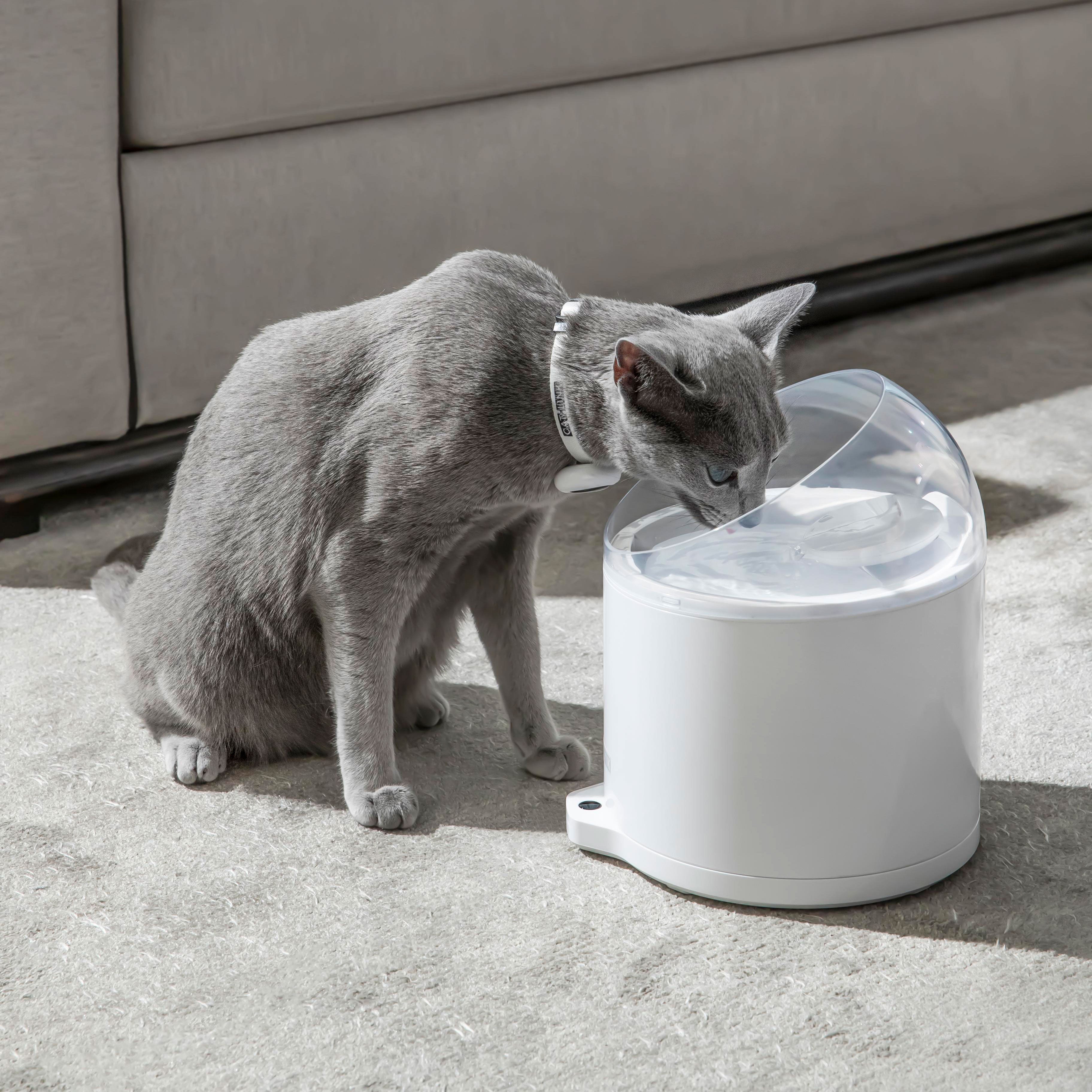 catlink-pure-2-fontaine-eau-chat-pompe-sans-fil-double image 5