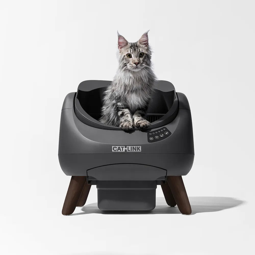 catlink-scooper-open-x-liti-re-autonettoyante-12l-1-chat image 3