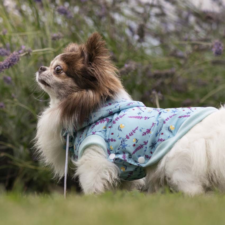 croci-dog-jacket-manteau-imperm-able-chien-lavande-25-cm image 2