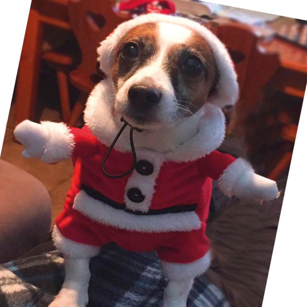 croci-xmas-santa-dress-d-guisement-chien-p-re-no-l-25cm-velours image 2