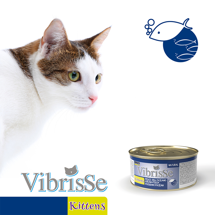 croci-vibrisse-natural-kittens-p-t-e-chaton-thon-et-poulet-70g image 4