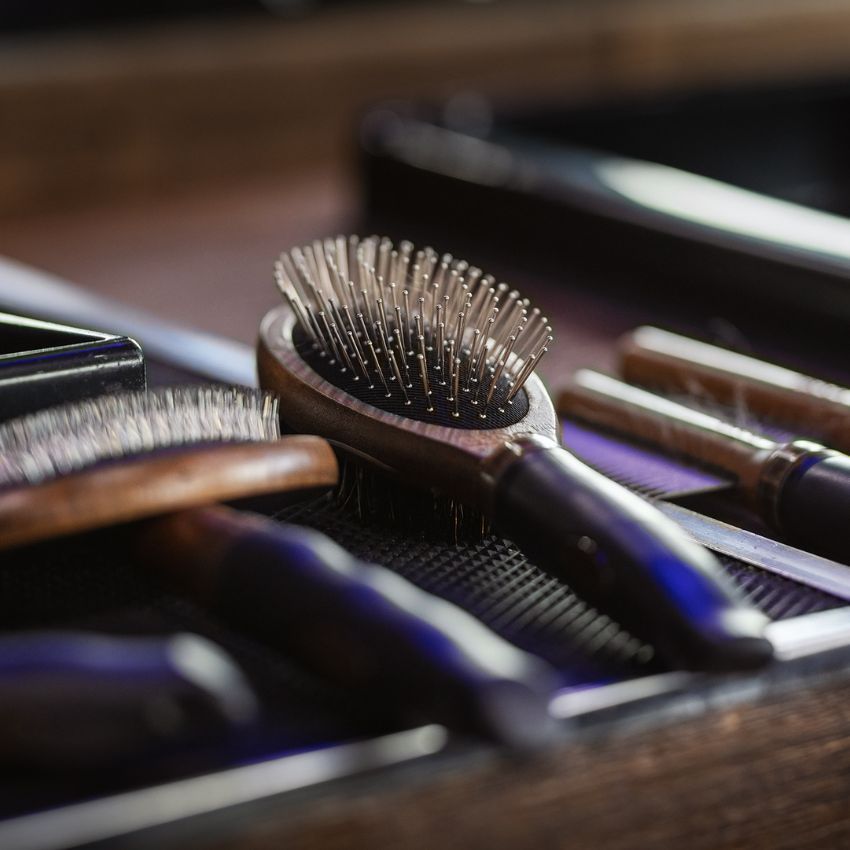 croci-barbershop-peigne-dents-fines-chien-poils-courts image 3