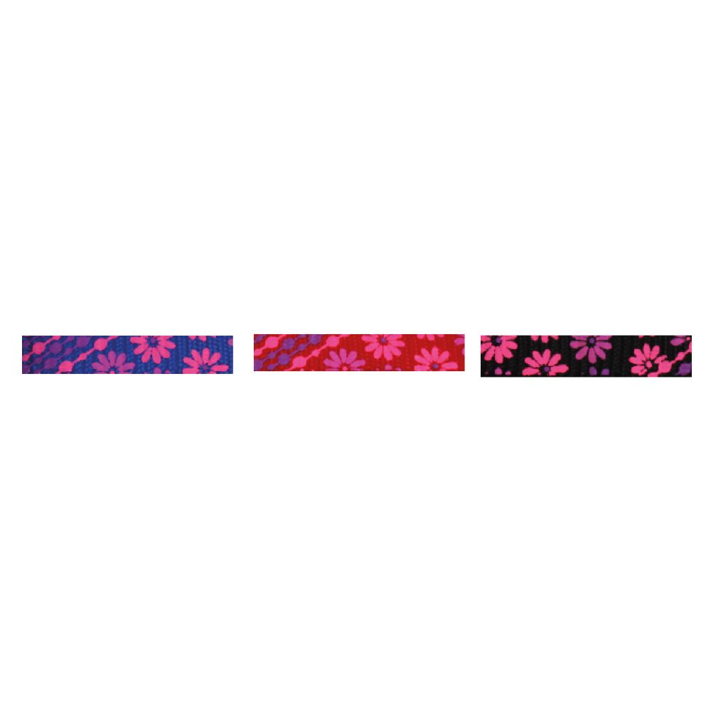 croci-daisy-collier-laisse-chien-nylon-fleurs image 3