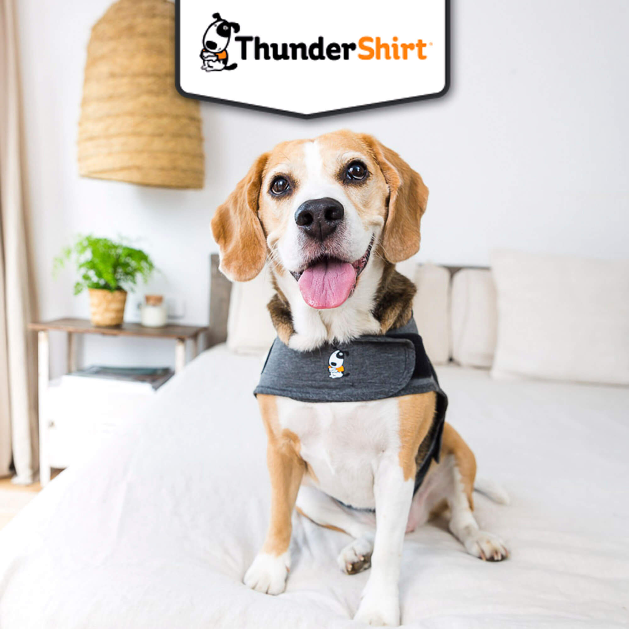adaptil-thundershirt-gilet-relaxant-chien-taille-m image 7