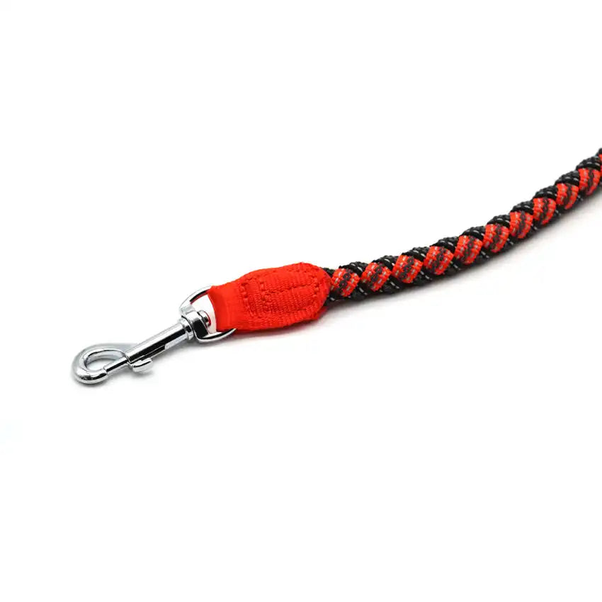 croci-hiking-endurance-laisse-chien-nylon-120-cm-vert-orange image 4