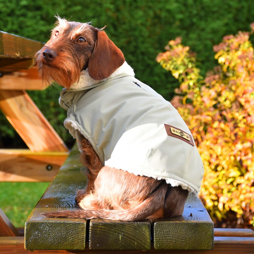 croci-bobby-parka-manteau-chien-rose-30-cm image 4