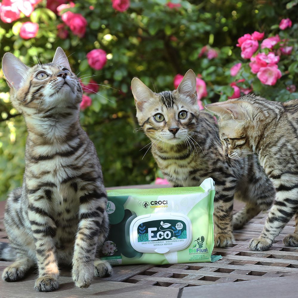 croci-pet-wipes-lingettes-chien-chat-vanille-30-pcs image 7