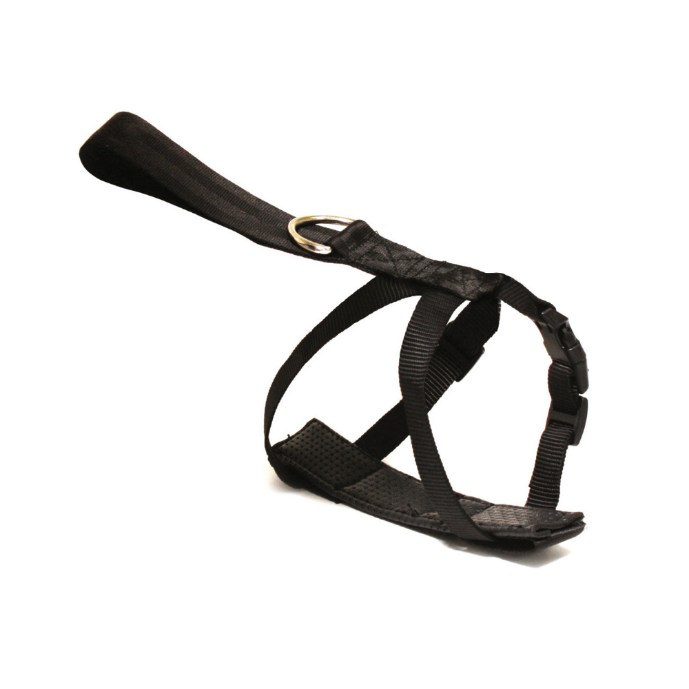 croci-safety-belt-harnais-voiture-chien-50-80-cm image 2
