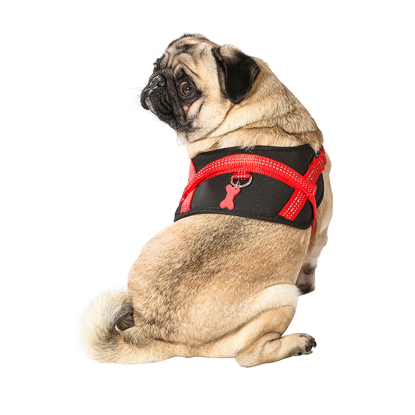croci-bobby-easy-safe-harnais-chien-noir-m-r-fl-chissant image 4