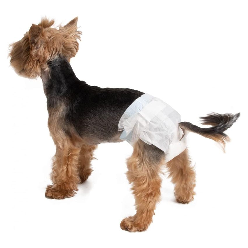croci-care-and-hygiene-dog-nappy-couche-chien-jetable-l-34-48-cm-lot-12 image 5