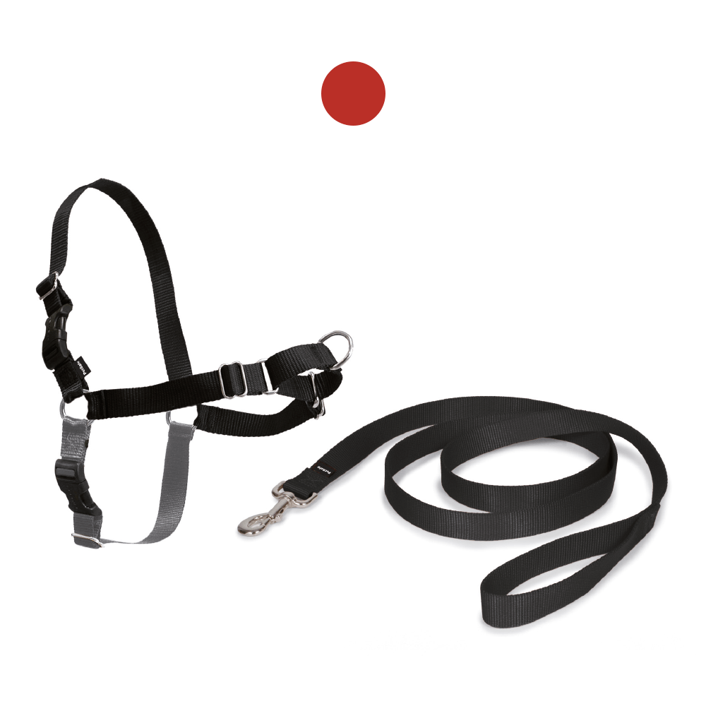 croci-easy-walk-harnais-chien-nylon-anti-traction-noir-m image 3