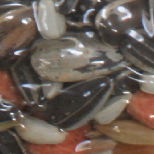 croci-great-meal-nourriture-perroquets-1-5-kg-fruits image 2