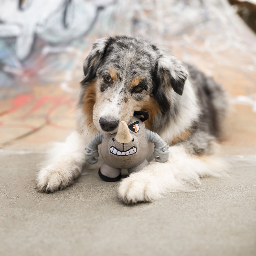 croci-warriors-rinok-jouet-peluche-chien-r-sistant image 3