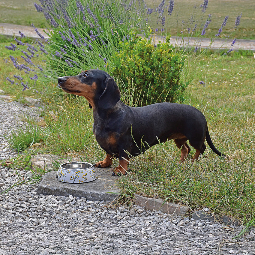 croci-bobby-fleur-gamelle-chien-blanche-450-ml image 4