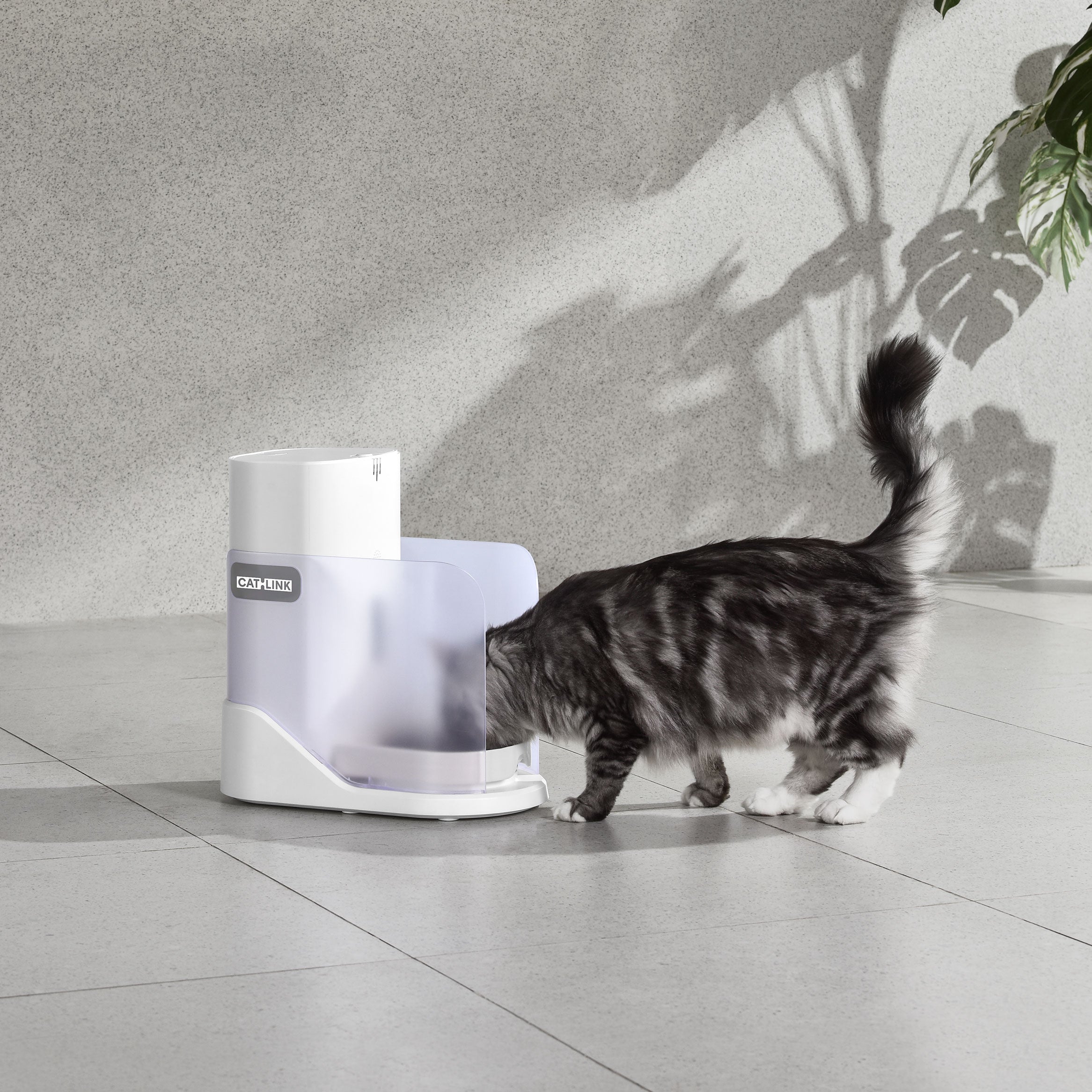 catlink-automatic-feeder-facelink-distributeur-croquettes-single-set-3-5-l image 5