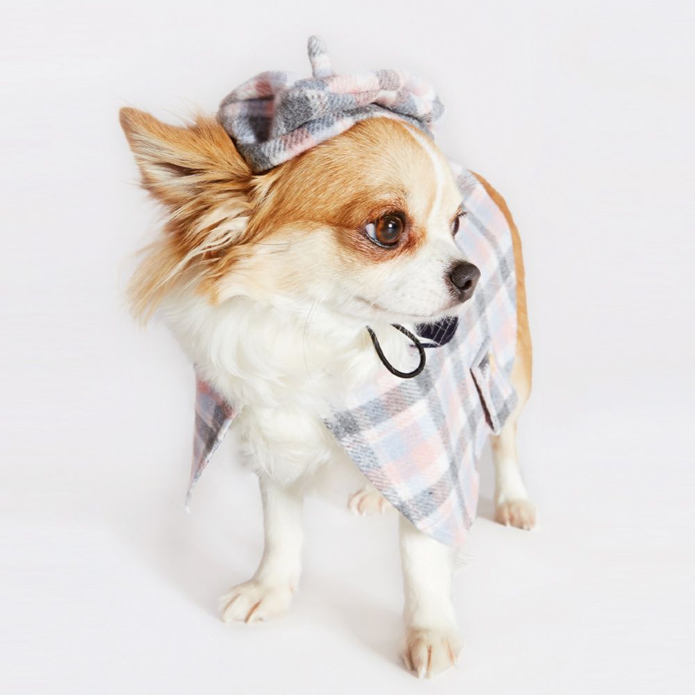 croci-parisian-chapeau-chien-beige-11-cm-chic image 2