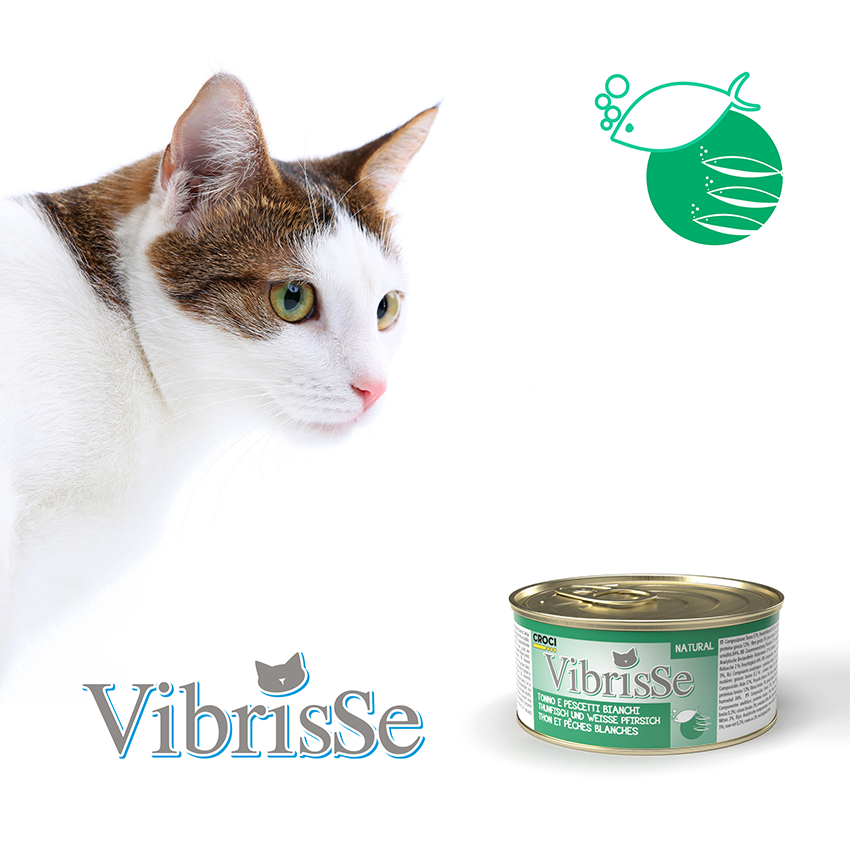 croci-vibrisse-p-t-e-chat-poulet-naturel-70-g image 5