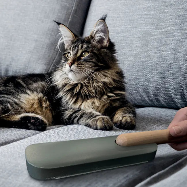 croci-magicfur-brosse-poils-chien-chat-autonettoyante image 5