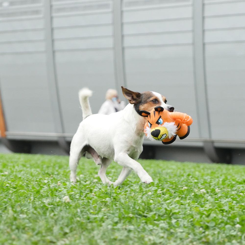 croci-warriors-tiger-jouet-chien-peluche-r-sistant image 4