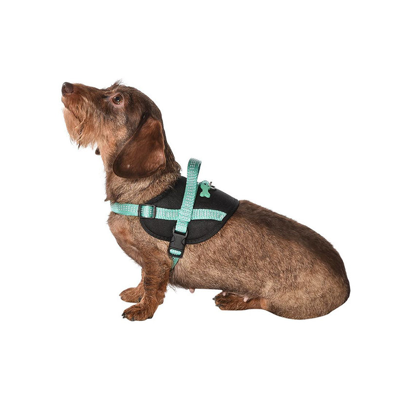 croci-bobby-easy-safe-harnais-chien-noir-m-r-fl-chissant image 3