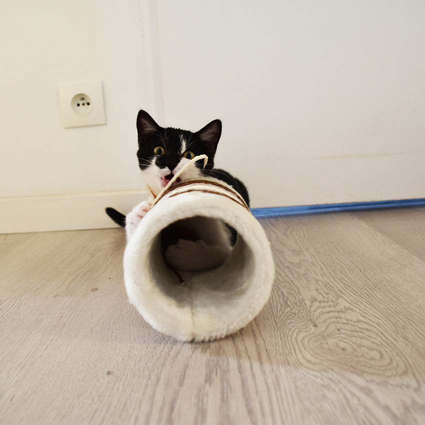 croci-bobby-roll-griffoir-chat-rose-18x11-cm image 8