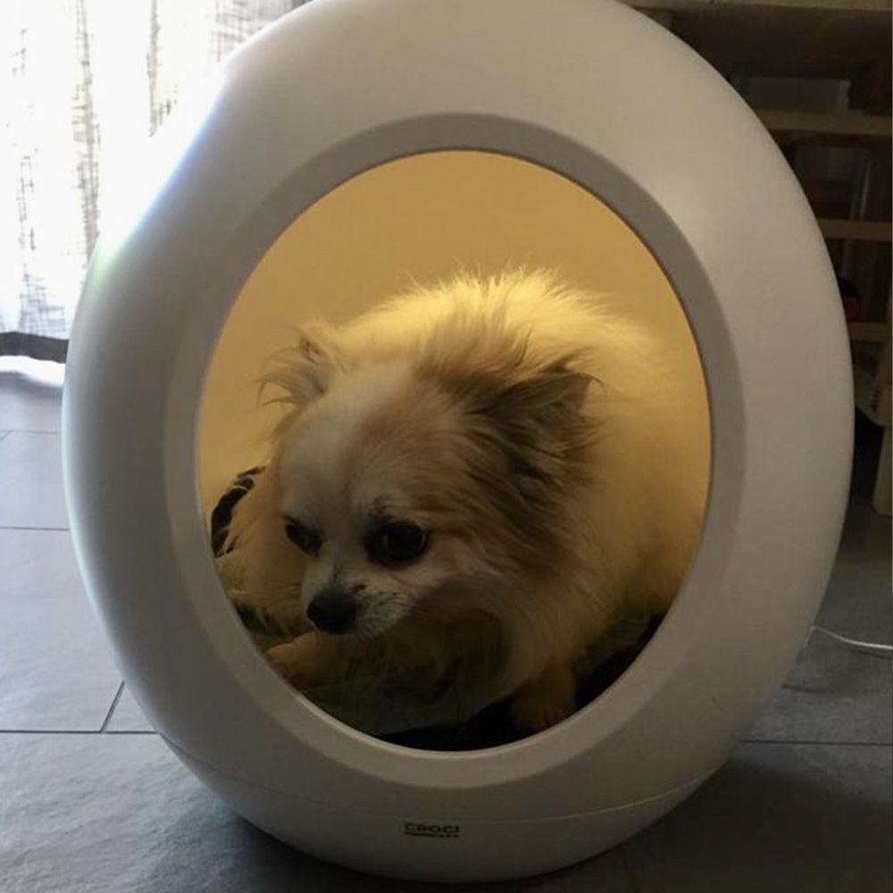 croci-domus-niche-technologique-chat-et-petit-chien image 7