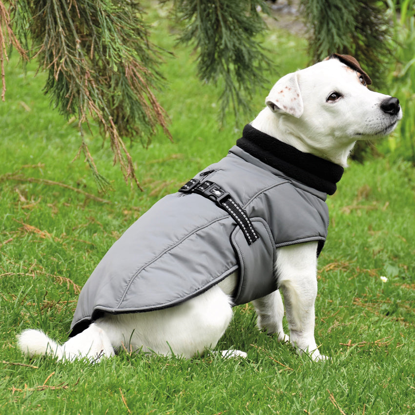 croci-bobby-urban-veste-chien-hiver-52-cm image 3