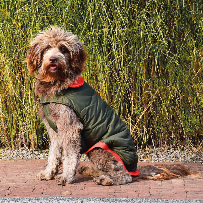 croci-manteau-contraste-manteau-chien-noir-m-40-cm image 5
