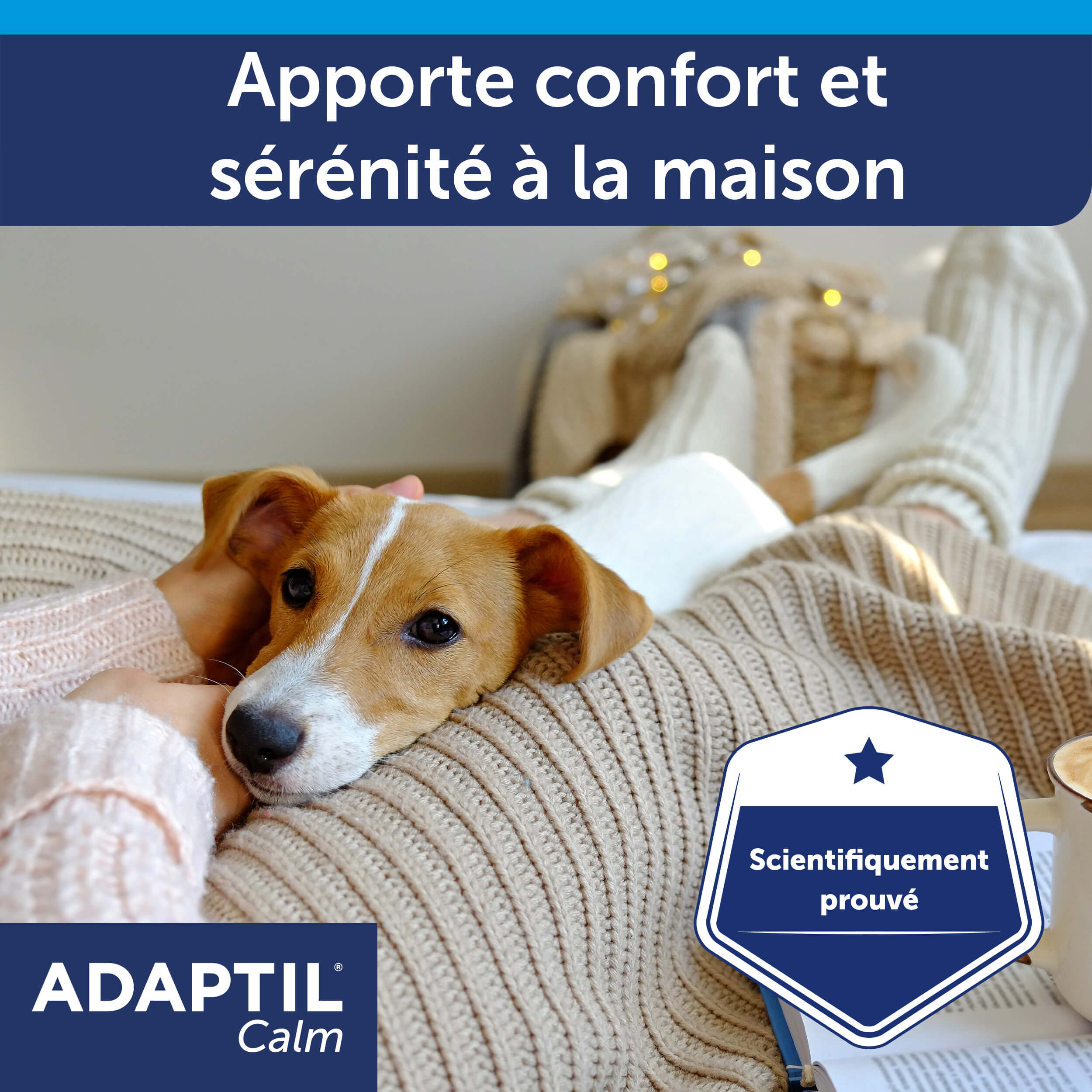 adaptil-calm-kit-complet-diffuseur-chien-anti-stress image 7