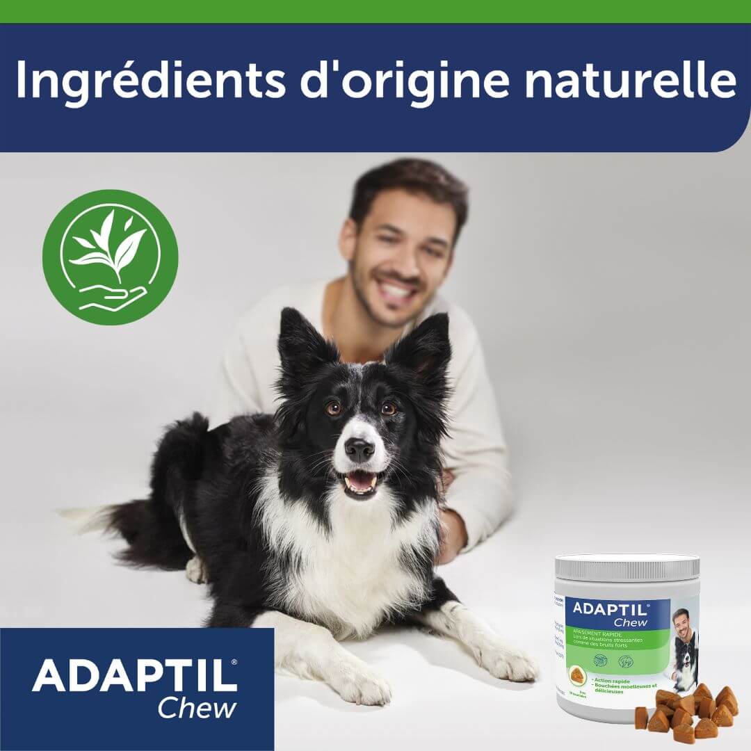 adaptil-chew-bouch-es-anti-stress-chien-30-friandises image 7