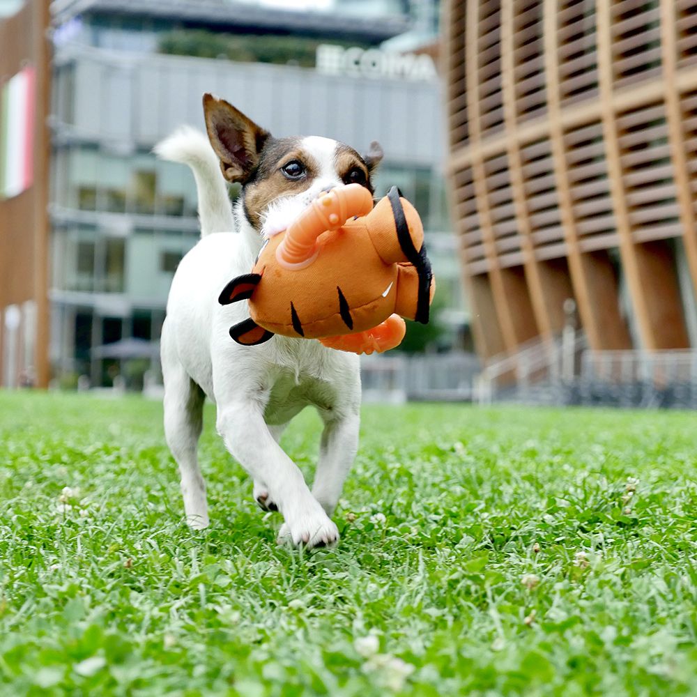 croci-warriors-tiger-jouet-chien-peluche-r-sistant image 3