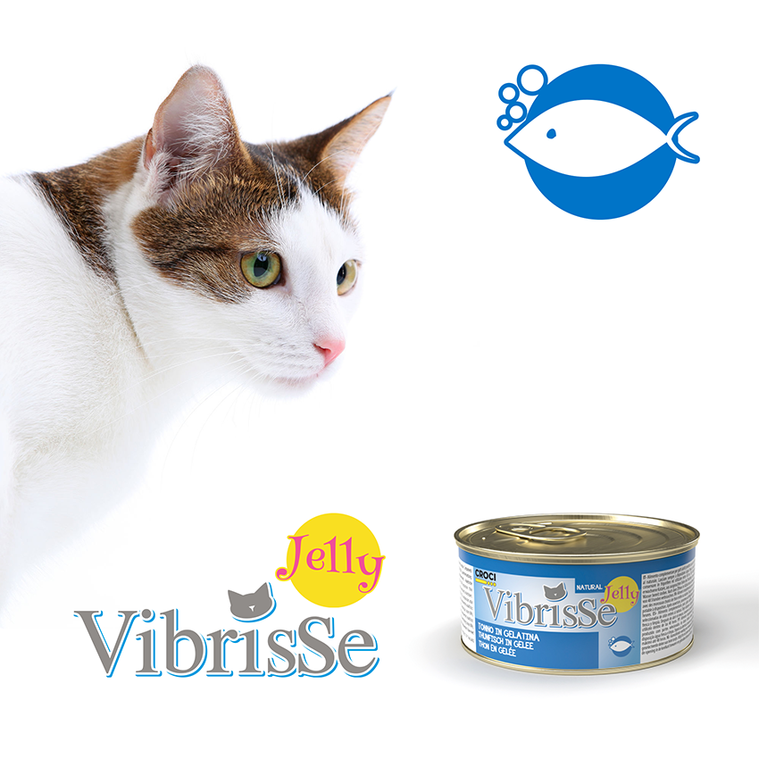 croci-vibrisse-jelly-p-t-e-chat-gel-e-thon-70-g image 3
